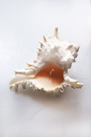 Spiked Conch Shell Candle