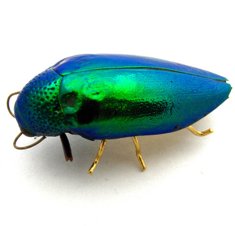 Emerald Beetle Pin