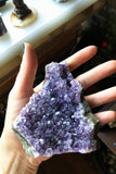 Medium Amethyst Geode