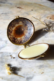 Lemongrass Grapefruit Lip Balm in Shell